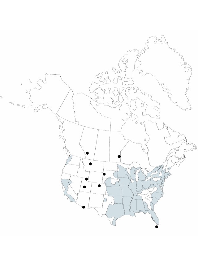 V22 337-distribution-map.jpg