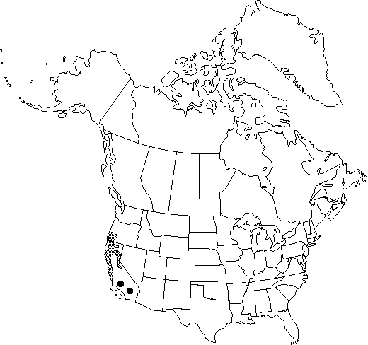 V2 38-distribution-map.gif