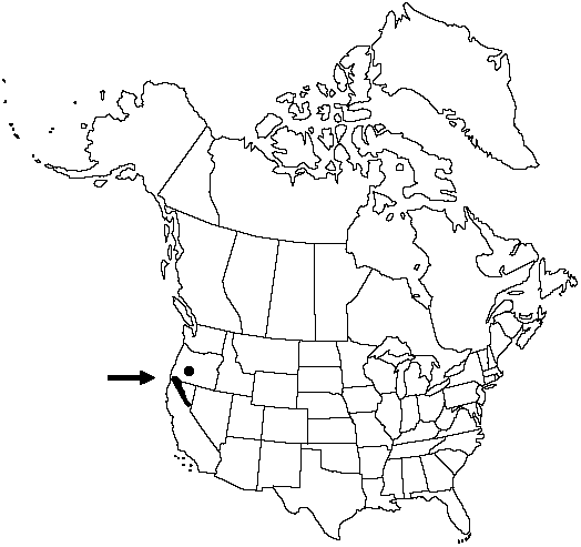 V2 562-distribution-map.gif