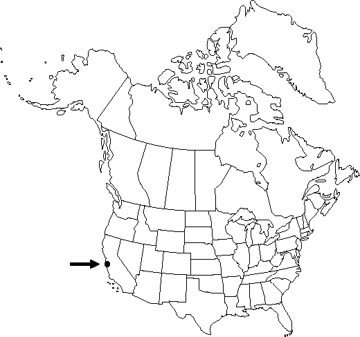 V2 242-distribution-map.gif