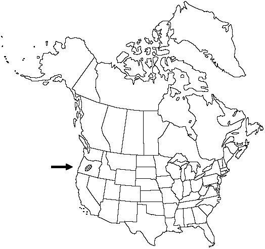V2 206-distribution-map.gif
