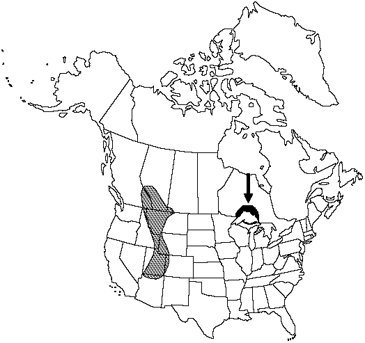 V2 687-distribution-map.gif
