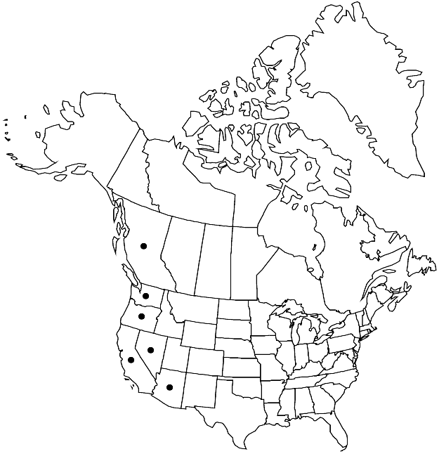 V28 297-distribution-map.gif