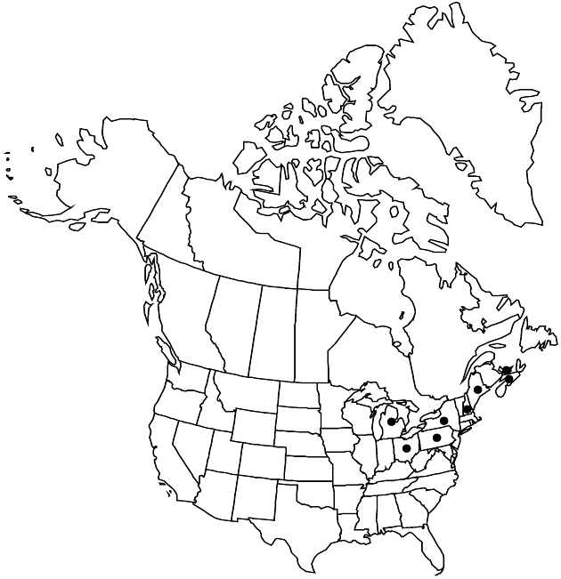 V19-384-distribution-map.gif